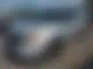 Vehicle Image- 2015 Ford Explorer