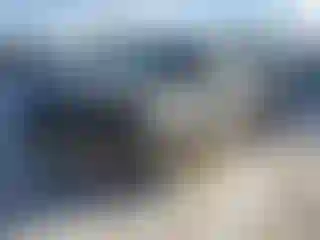 Vehicle Image- 2019 Ford Explorer