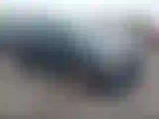 Vehicle Image- 2017 Ford Explorer