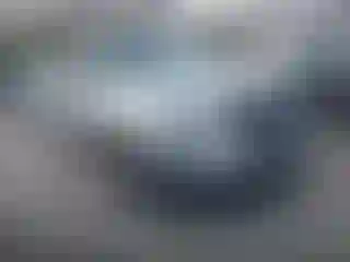 Vehicle Image- 2019 Ford Explorer