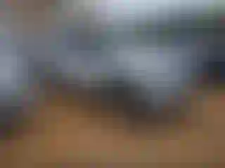 Vehicle Image- 2023 Ford Explorer