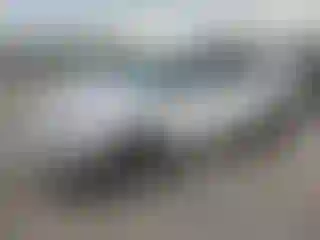 Vehicle Image- 2017 Ford Explorer