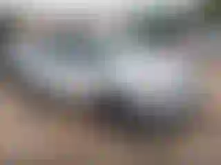 Vehicle Image- 2017 Ford Explorer