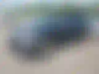 Vehicle Image- 2017 Ford Explorer
