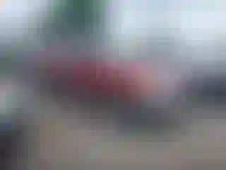 Vehicle Image- 2001 Ford Escape