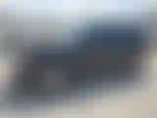 Vehicle Image- 2009 Ford Escape