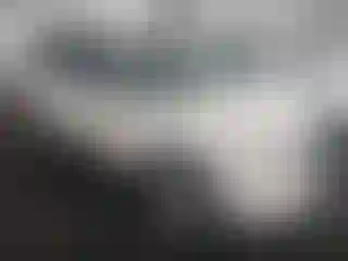 Vehicle Image- 2009 Ford Escape