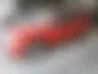 Vehicle Image- 2009 Ford Escape