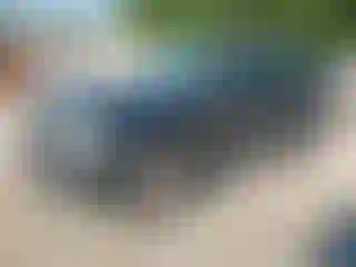 Vehicle Image- 2009 Ford Escape