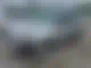 Vehicle Image- 2009 Ford Escape