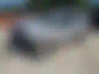 Vehicle Image- 2008 Ford Escape
