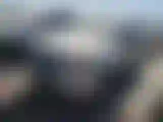 Vehicle Image- 2008 Ford Escape