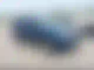 Vehicle Image- 2008 Ford Escape