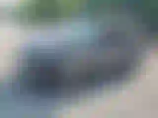 Vehicle Image- 2008 Ford Escape
