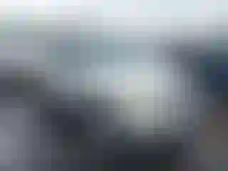 Vehicle Image- 2008 Ford Escape