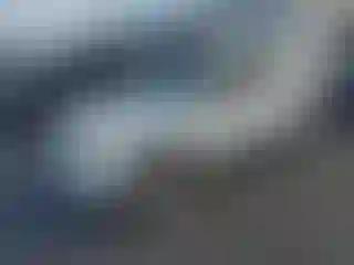 Vehicle Image- 2008 Ford Escape