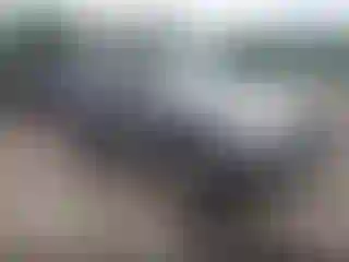 Vehicle Image- 2008 Ford Escape
