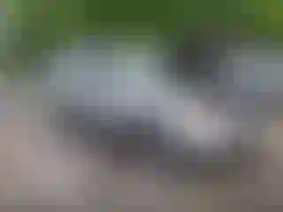 Vehicle Image- 2008 Ford Escape