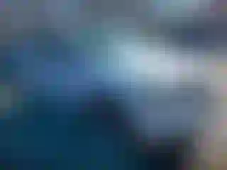 Vehicle Image- 2008 Ford Escape