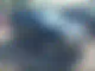 Vehicle Image- 2007 Ford Escape