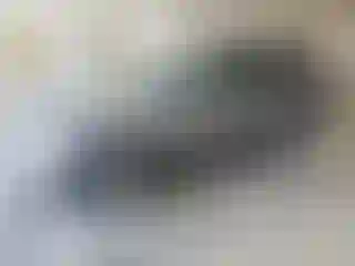 Vehicle Image- 2008 Ford Escape