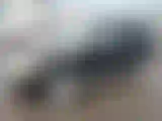 Vehicle Image- 2008 Ford Escape