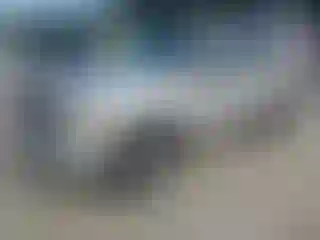 Vehicle Image- 2008 Ford Escape