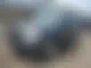 Vehicle Image- 2008 Ford Escape