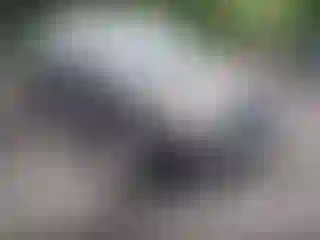 Vehicle Image- 2006 Ford Escape