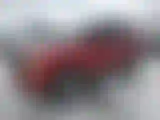 Vehicle Image- 2008 Ford Escape