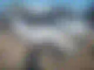 Vehicle Image- 2008 Ford Escape