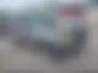 Vehicle Image- 2008 Ford Escape