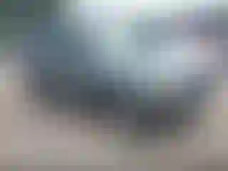Vehicle Image- 2006 Ford Escape