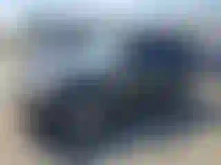 Vehicle Image- 2008 Ford Escape