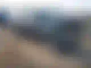 Vehicle Image- 2008 Ford Escape