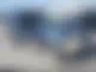 Vehicle Image- 2002 Ford Escape