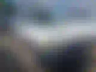 Vehicle Image- 2005 Ford Escape