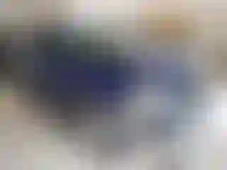 Vehicle Image- 2006 Ford Escape