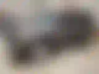 Vehicle Image- 2006 Ford Escape