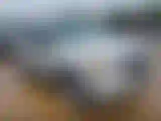 Vehicle Image- 2008 Ford Escape