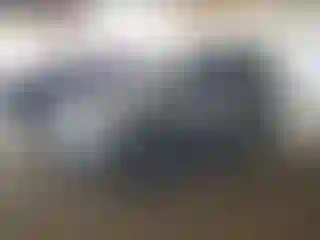 Vehicle Image- 2008 Ford Escape