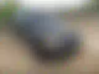 Vehicle Image- 2008 Ford Escape