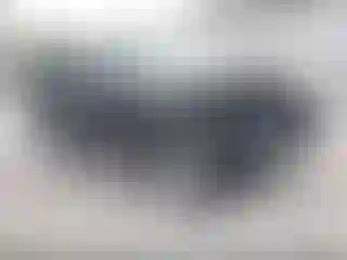 Vehicle Image- 2008 Ford Escape