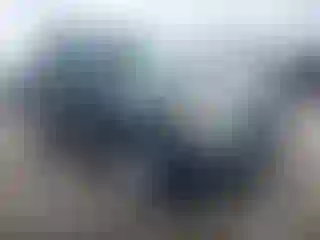 Vehicle Image- 2008 Ford Escape