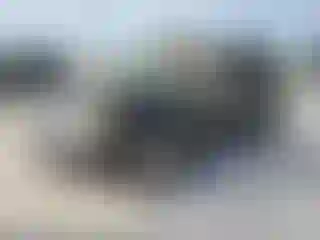 Vehicle Image- 2008 Ford Escape