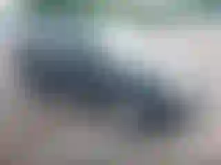 Vehicle Image- 2008 Ford Escape