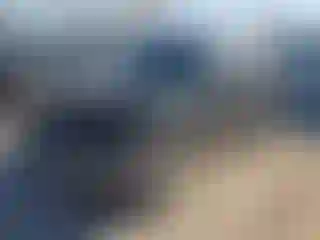 Vehicle Image- 2004 Ford Escape