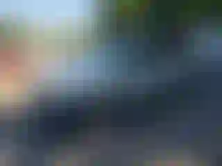 Vehicle Image- 2008 Ford Escape