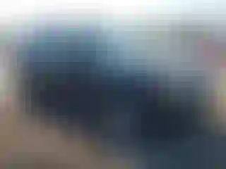 Vehicle Image- 2008 Ford Escape