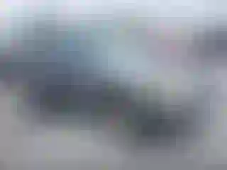 Vehicle Image- 2009 Ford Escape